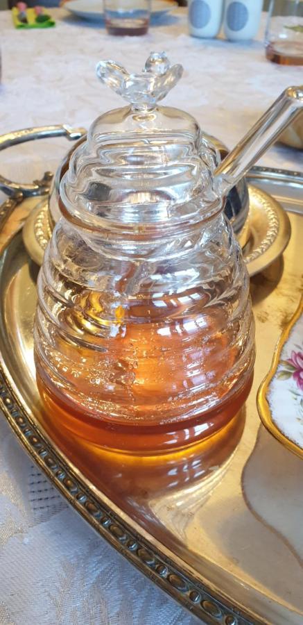 La Tour Noble Bed & Breakfast Saint-Saturnin  ภายนอก รูปภาพ